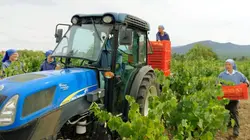 Produits monastiques, à quel saint se vouer ?