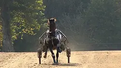 Sur Equidia à 20h30 : Profession crack