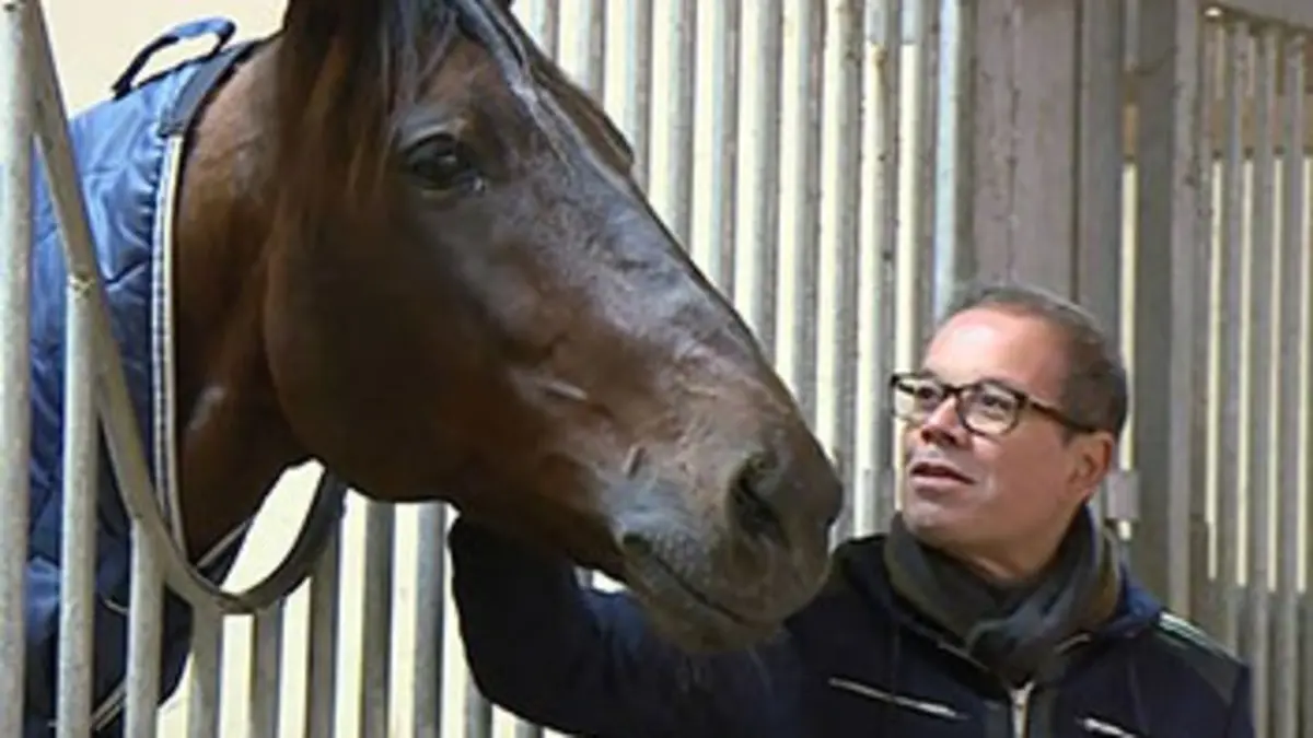 Profession crack Amiral Sacha