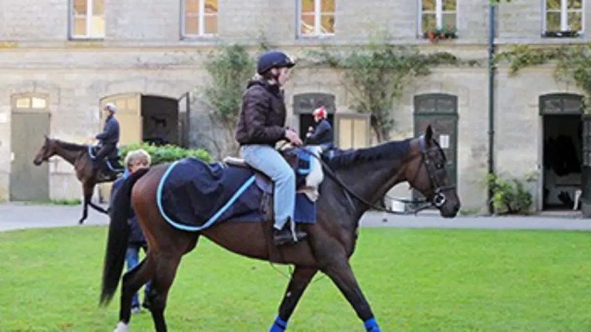 Profession crack Avec Cyrrus des Aigles chez Corinne Barande Barbe