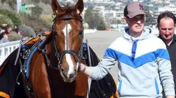 Sur Equidia à 22h30 : Profession crack
