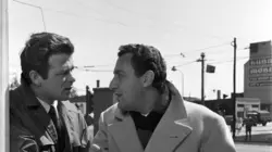 Profession : magliari