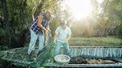 Visuel de Swamp People : Chasseurs de croco