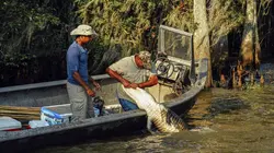 Swamp People : Chasseurs de croco