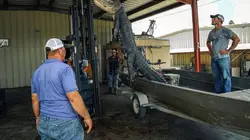Swamp People : Chasseurs de croco