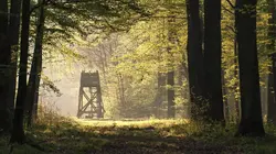 Visuel de Swamp People : Chasseurs de croco
