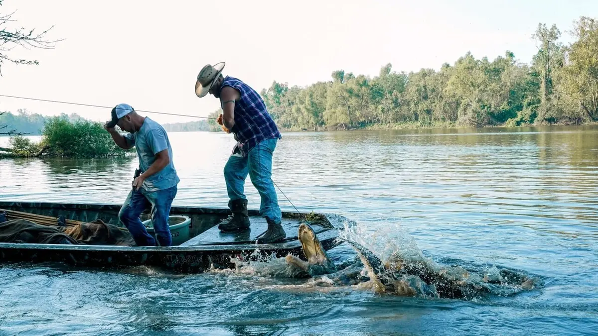 Swamp People : Chasseurs de croco S11E13 Remise des diplômes