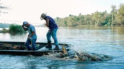 Visuel de Swamp People : Chasseurs de croco