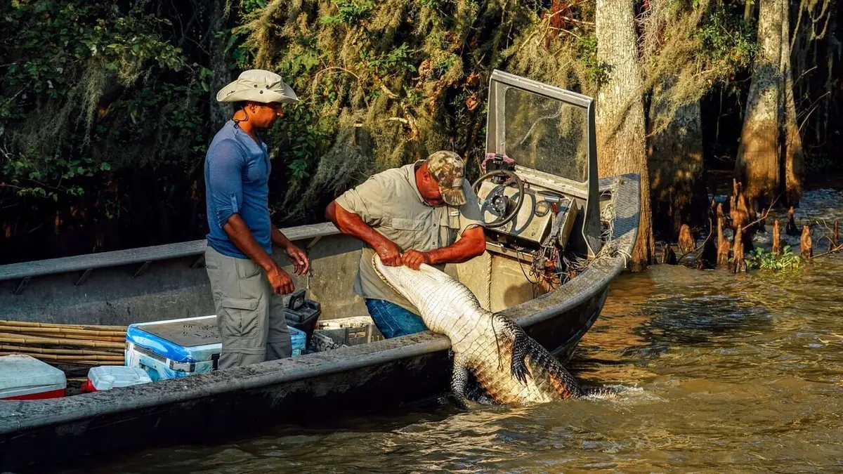 Swamp People : Chasseurs de croco S08E11 Le cannibale