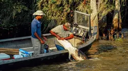 Sur Planète+ Aventure à 21h00 : Swamp People : Chasseurs de croco