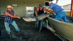 Visuel de Swamp People : Chasseurs de croco