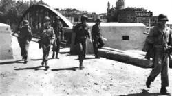 Provence, août 1944, l'autre débarquement