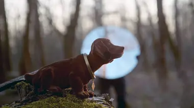 Moi : Trop conciliant