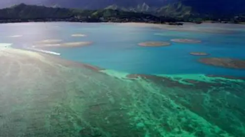 Puissante planète S01E04 L'eau, source de vie