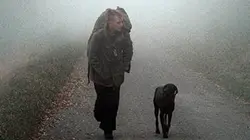 Visuel de Punk à chien