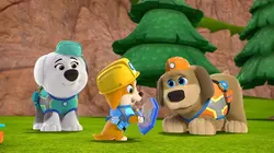 Sur Disney Junior à 21h45 : Pupstruction, les chiots en action