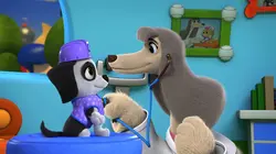 Pupstruction, les chiots en action