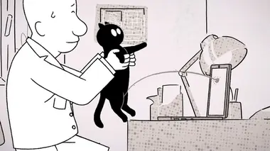 Chat m'énerve !