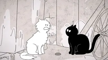 Chat perché