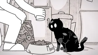 Replay du programme Putain de chat !