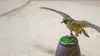 Puy du Fou : animaux et dresseurs relèvent le défi