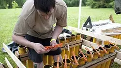 Visuel de Pyros : les rois du feu d'artifice