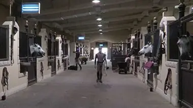 Qatar, mon royaume pour un cheval