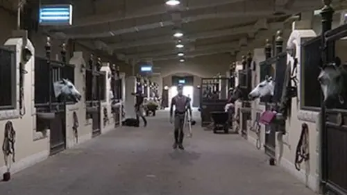 Qatar, mon royaume pour un cheval