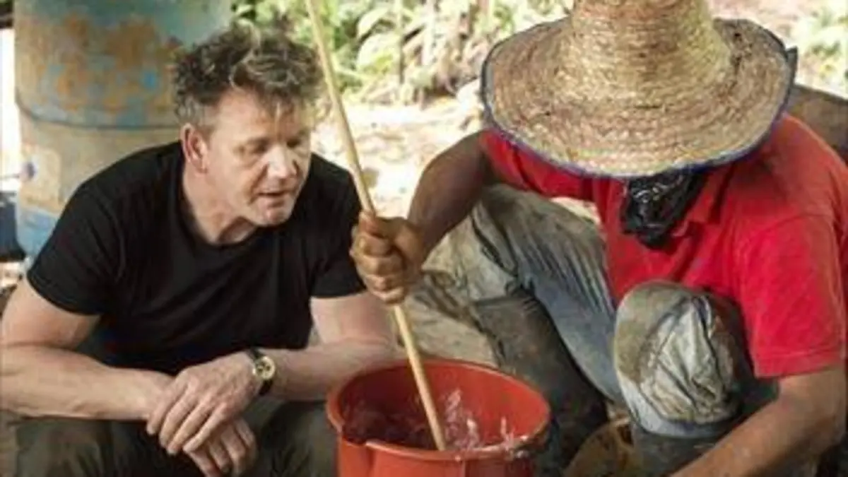 Qdoc : Gordon Ramsay on Cocaine E02