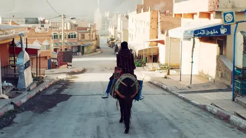 Qu'importe si les bêtes meurent en streaming