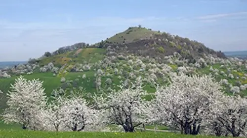 Quand arrive le printemps E02 Des Alpes à l'Arctique