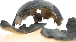 Quand Homo sapiens peupla la planète