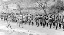 Quand l'Afrique sauva la France