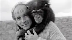 Visuel de Quand l'amour m'était chanté