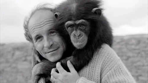 Quand l'amour m'était chanté