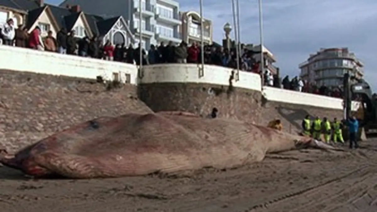 Quand la nature annonce la couleur Sacrebleu