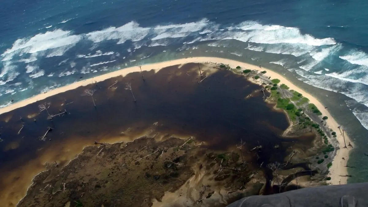 Quand la nature se déchaîne 2004 - 2005