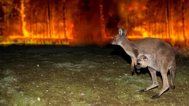 Quand la nature se déchaîne 2018 - 2019