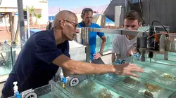 Quand la Terre se réchauffe