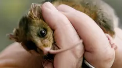 Quand la Terre se réchauffe