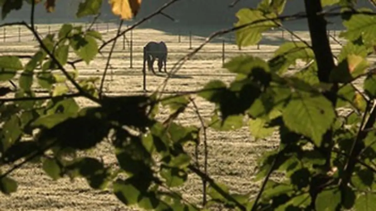 Quand le murmure devient une science E01 De l'inné à l'acquis