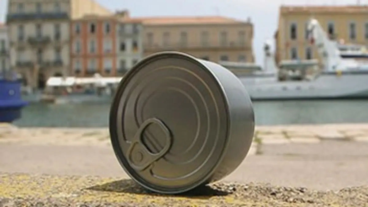 Quand le thon nous met en boîte