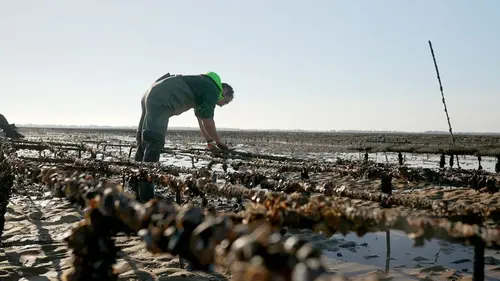 Quand le travail rend malade