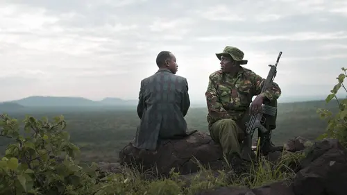 Quand les agneaux deviennent lions