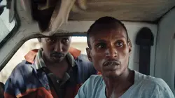 Quand les agneaux deviennent lions : Trafic d'ivoire