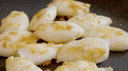 Quand les calamars et les seiches se font un sang d'encre