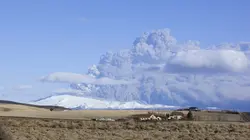 Visuel de Quand les éléments se déchaînent