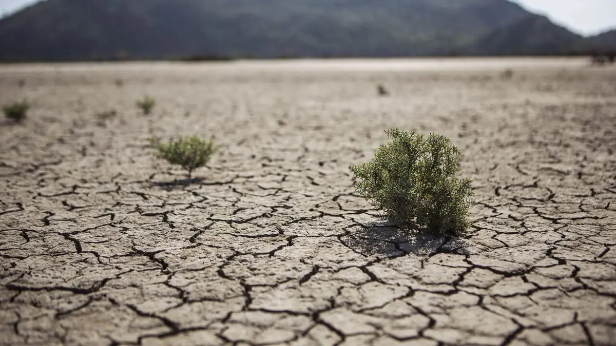 Quand les éléments se déchaînent Eté 76 : canicule en Grande-Bretagne