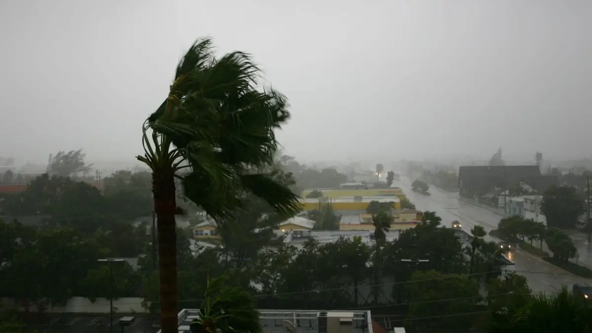 Quand les éléments se déchaînent L'ouragan Katrina : minute par minute