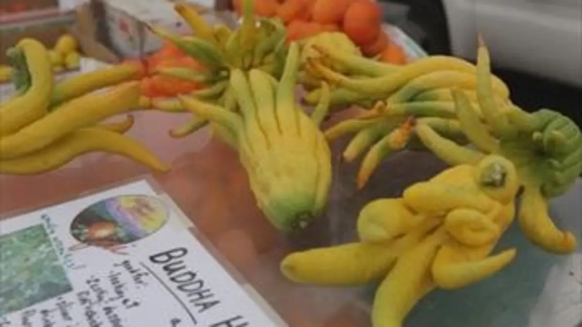 Quand manger sain devient une obsession !